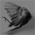 :iconhurmeli: