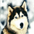 :iconhurricane-kat:
