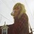:iconhurricanesandsuns: