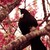 :iconhush-angel: