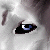 :iconhuskiesunited: