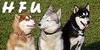:iconhuskyfansunite: