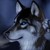 :iconhuskyluv22: