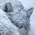 :iconhuskywolf-stock:
