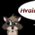 :iconhvalazafav1: