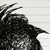 :iconhveits: