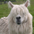 :iconhvidunder:
