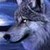 :iconhvit-ulver: