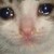 :iconhw0arang: