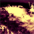 :iconhxdream: