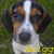 :iconhxlgg-olgi: