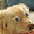:iconhy-polymer: