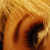 :iconhyasint: