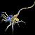 :iconhybrid-facehugger: