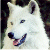 :iconhybrid-wolf: