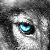 :iconhybridy33: