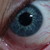 :iconhydra117: