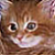 :iconhydrolicspringkitty4: