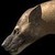 :iconhyenadon12: