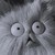 :iconhylia93: