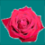 :iconhyniehead: