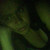 :iconhypatiale: