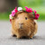 :iconhyperactiveartistry:
