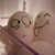 :iconhypercupcakeninja10: