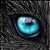 :iconhyperwolf22: