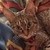 :iconhyphyshavon: