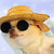:iconhypnoisevil: