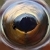 :iconhypnoticpinecone: