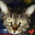 :iconhypnotize-me: