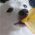 :iconhypoo: