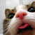 :iconhysteriall: