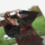 :iconhysterya716: