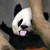 :iconhyz0120: