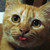 :iconhyzil: