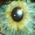 :iconi-----justdontknow:
