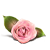 :iconi-7kaya: