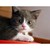 :iconi-am-hungry: