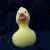 :iconi-am-what-i-am: