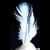 :iconi-am-white-feather: