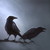 :iconi-crow-p:
