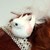:iconi-doll-creative: