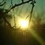 :iconi-dream-free: