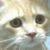 :iconi-eat-bugs: