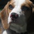 :iconi-eat-your-brainz: