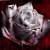 :iconi-is-jus-a-random: