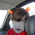 :iconi-kill-you: